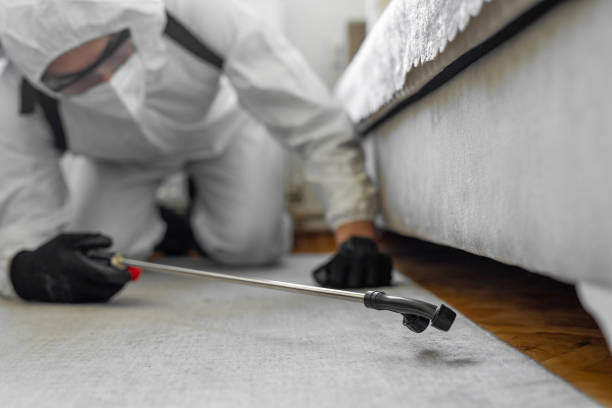Professional Ant Control technician working in Woodville, AL